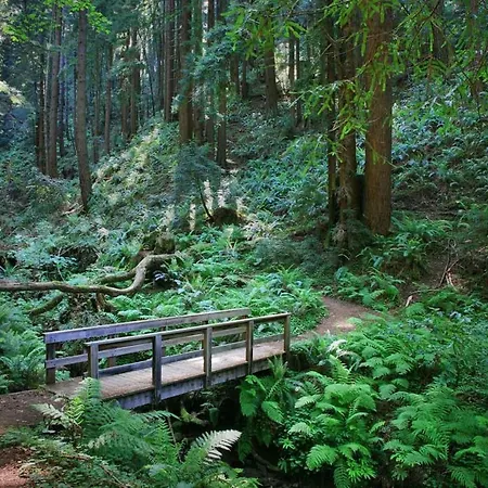 Entire Mountain Cottage Home - Restaurants Amazing Hiking & Biking Trails